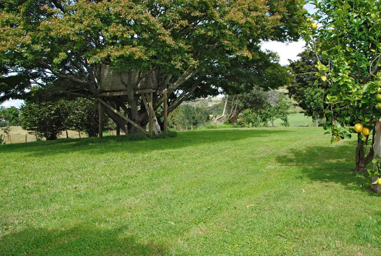 Poripori Homestead Tauranga Exterior photo